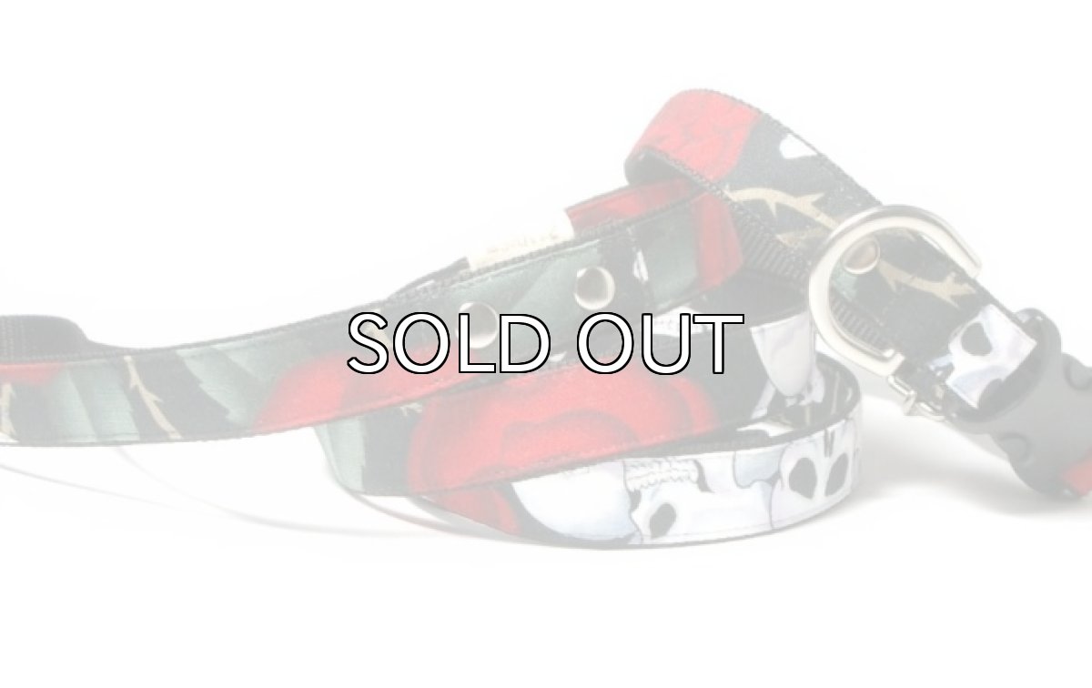 画像2: シータちゃん専用 (2)