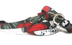 画像2: シータちゃん専用 (2)